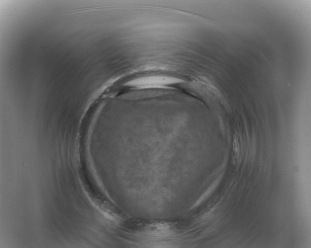 X0000066940492200604142027