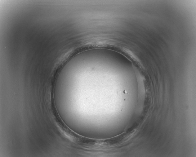 X0000066940493200604142027