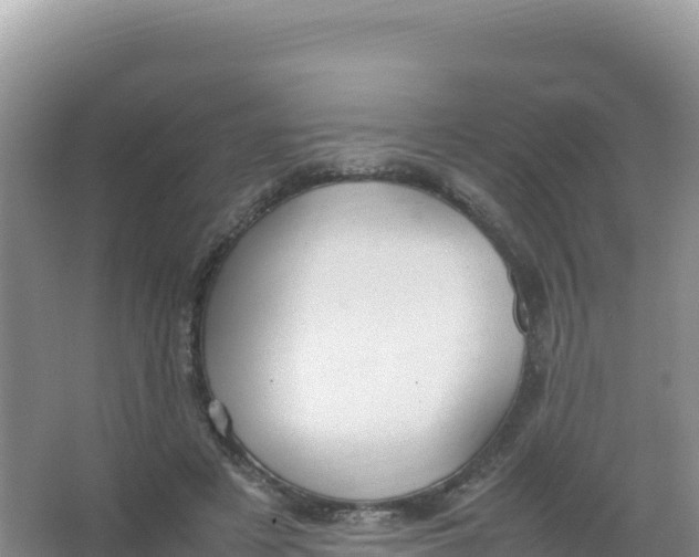 X0000066940497200604142027