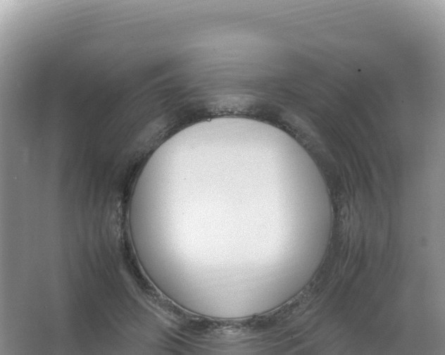 X0000066940498200604142027