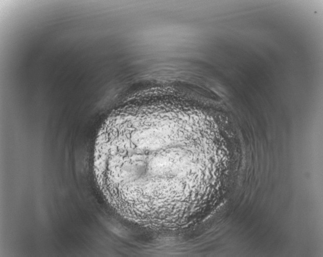 X0000066940499200604142027