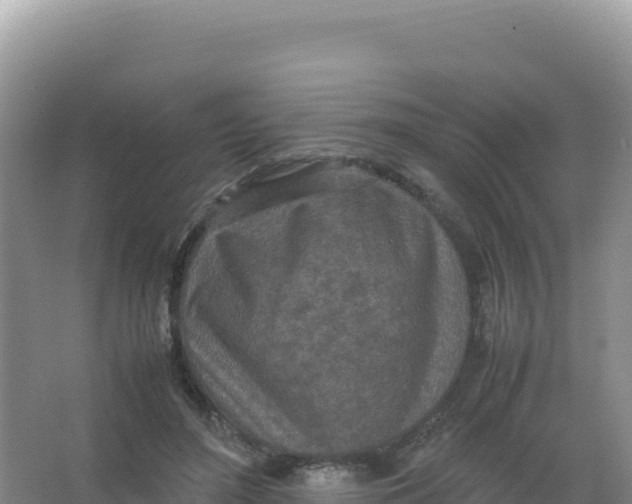 X0000066940500200604142027