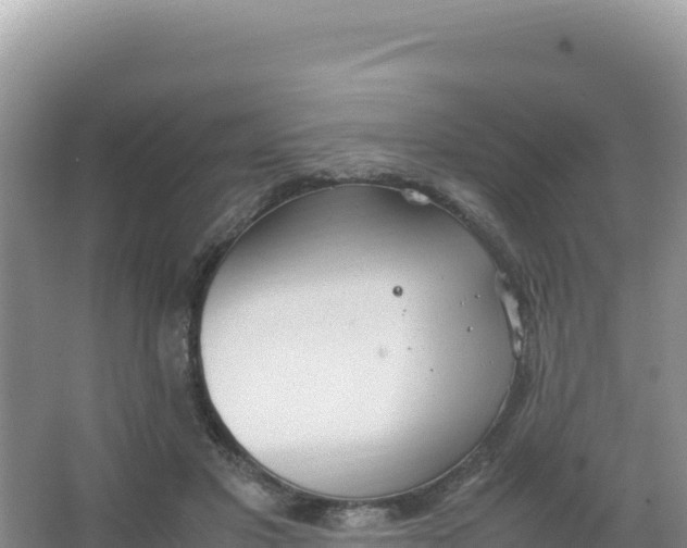 X0000066940501200604142027