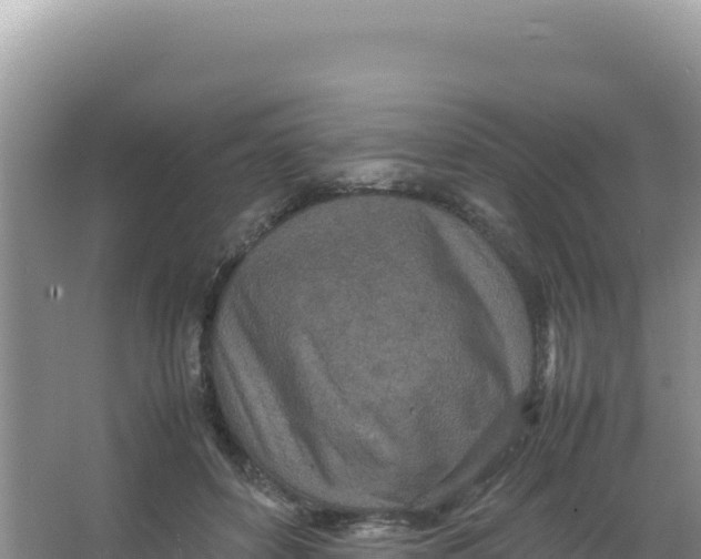 X0000066940504200604142027