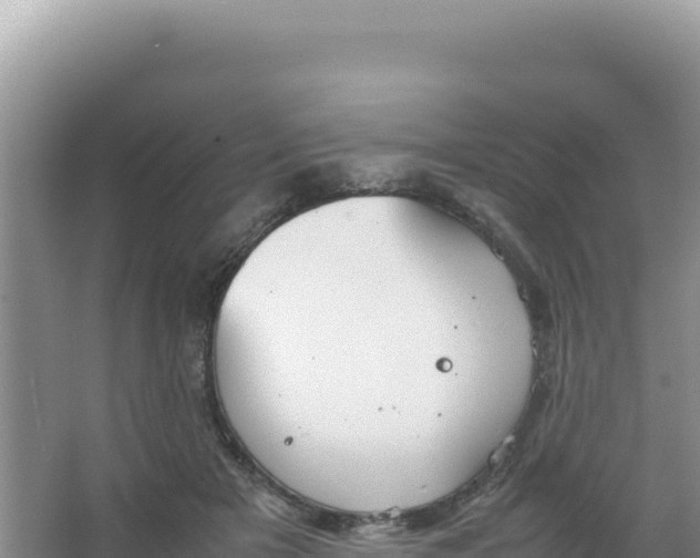 X0000066940505200604142027