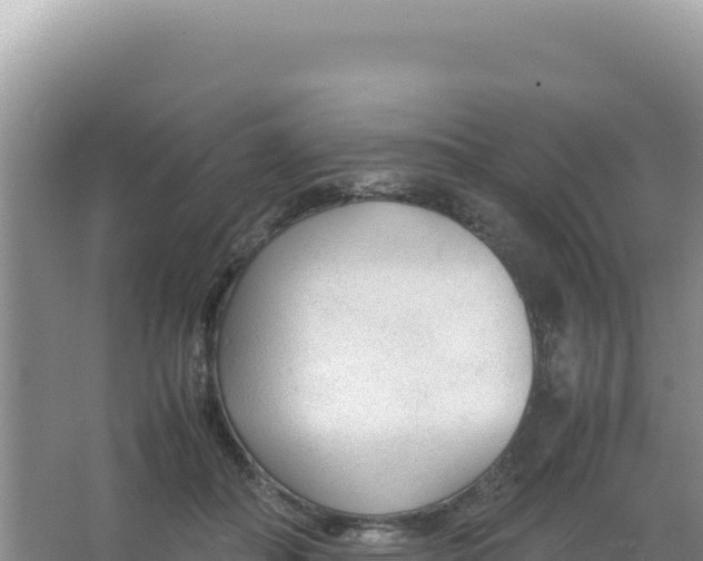 X0000066940506200604142027