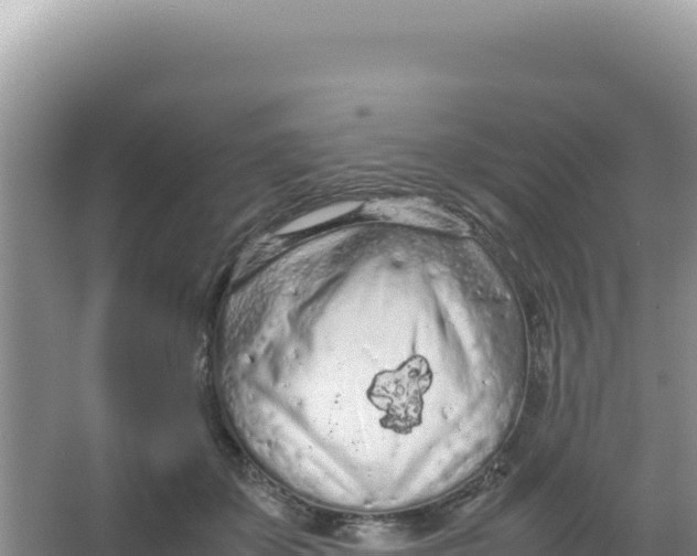 X0000066940507200604142027