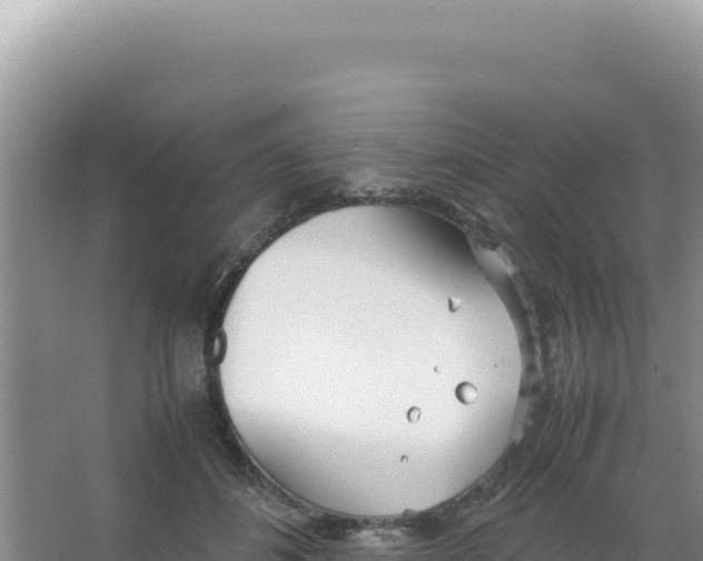 X0000066940508200604142027