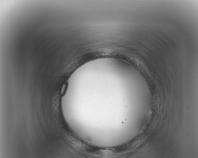 X0000066940509200604142027