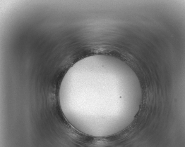 X0000066940510200604142027