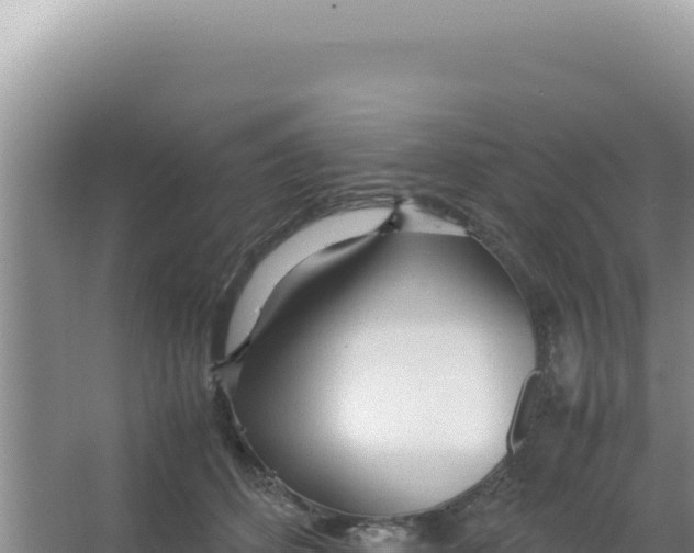 X0000066940512200604142027