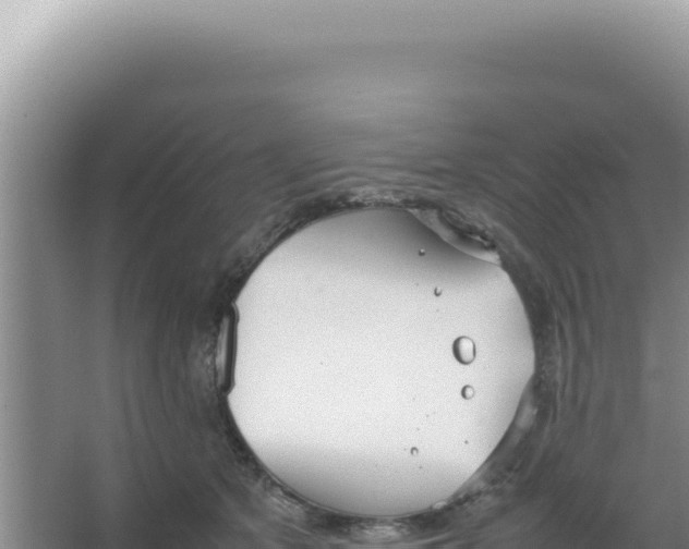 X0000066940513200604142027