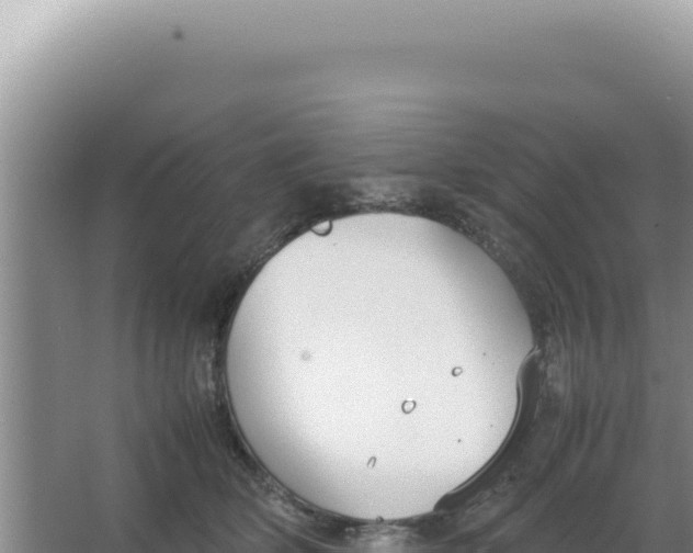 X0000066940514200604142027