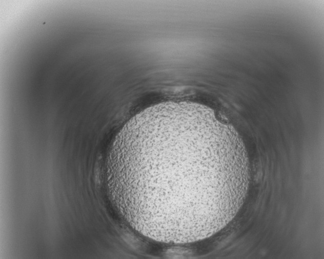 X0000066940515200604142027