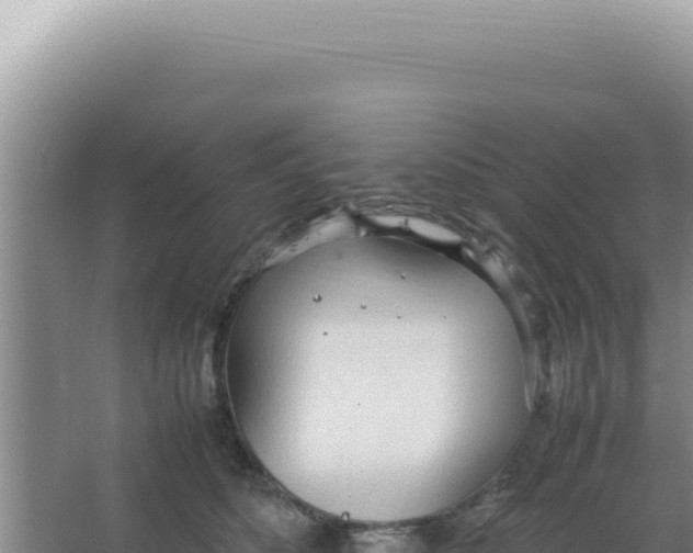 X0000066940516200604142027