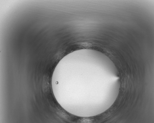 X0000066940518200604142027