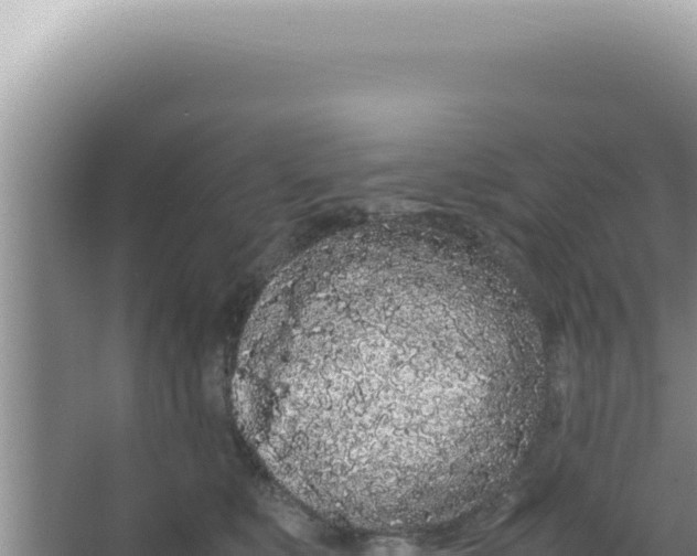 X0000066940519200604142027