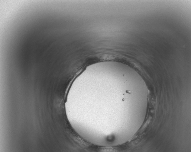 X0000066940521200604142027