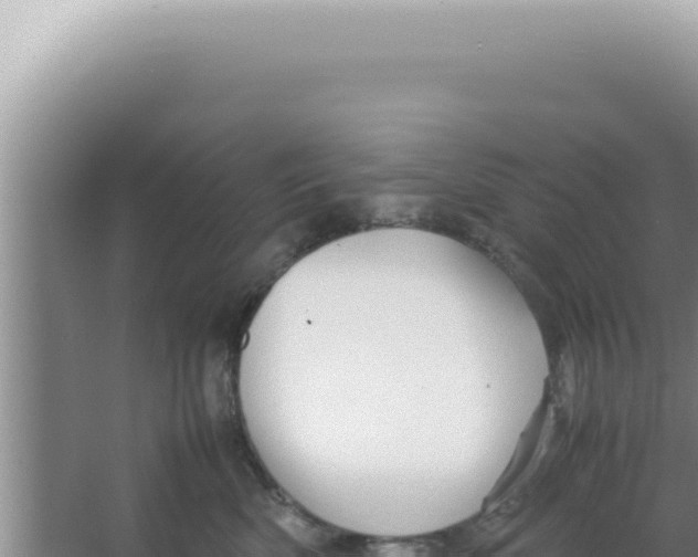 X0000066940522200604142027