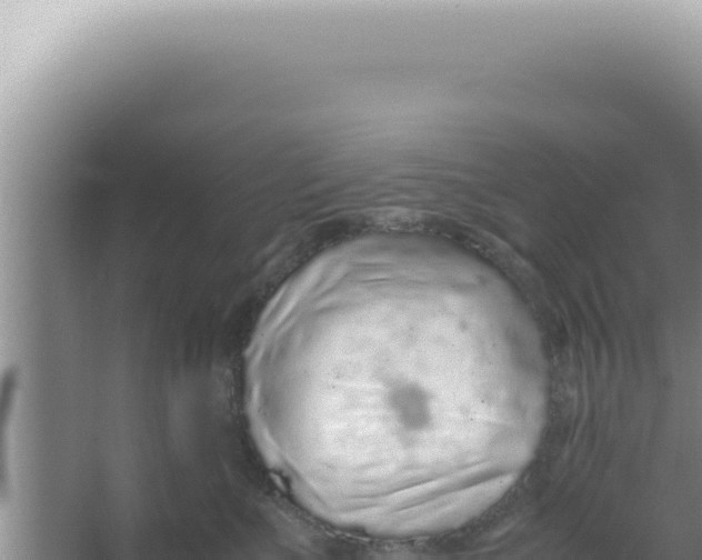 X0000066940523200604142027