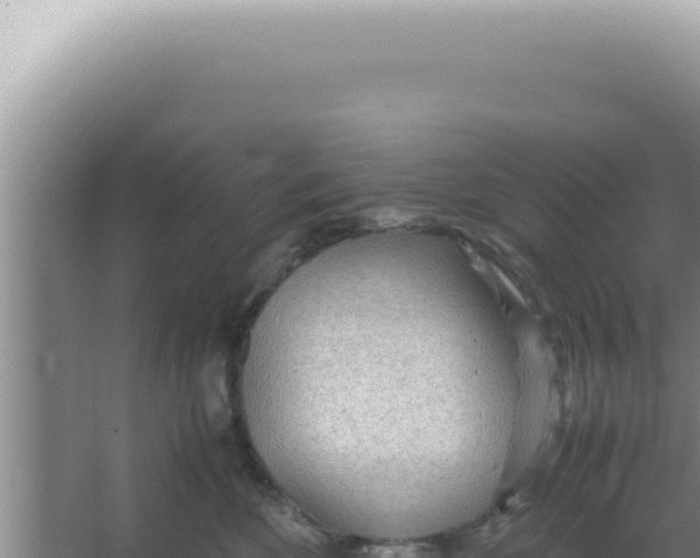 X0000066940524200604142027