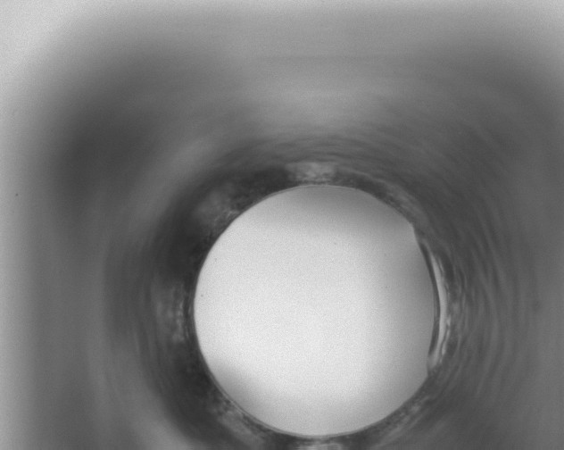 X0000066940525200604142027