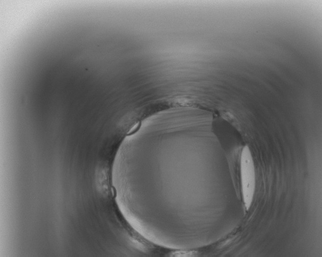 X0000066940526200604142027