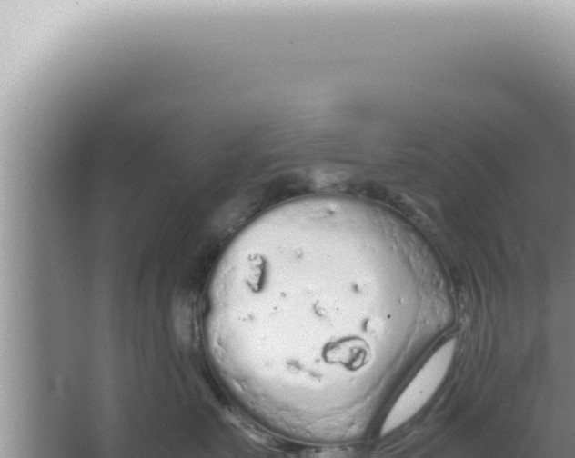 X0000066940527200604142027