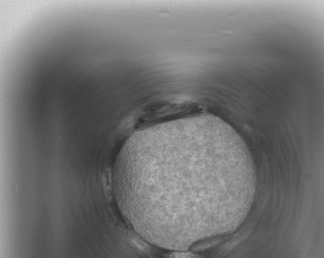 X0000066940528200604142027