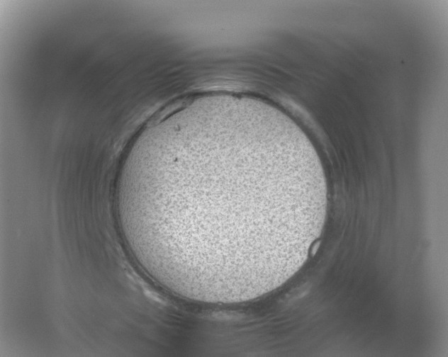 X0000066940529200604142026