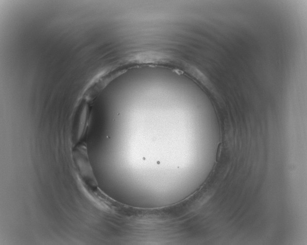 X0000066940530200604142026