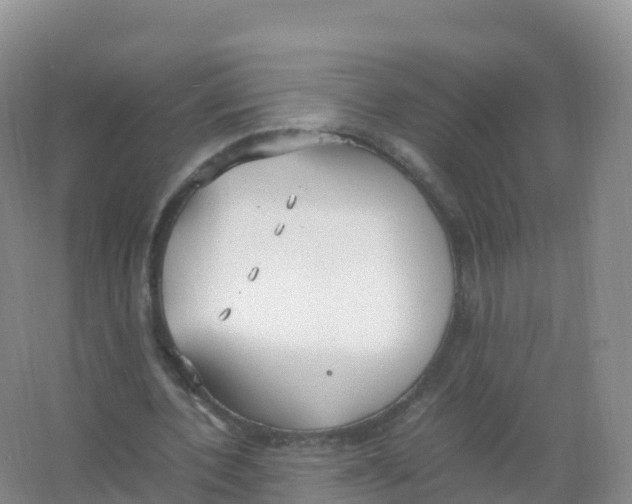 X0000066940532200604142026