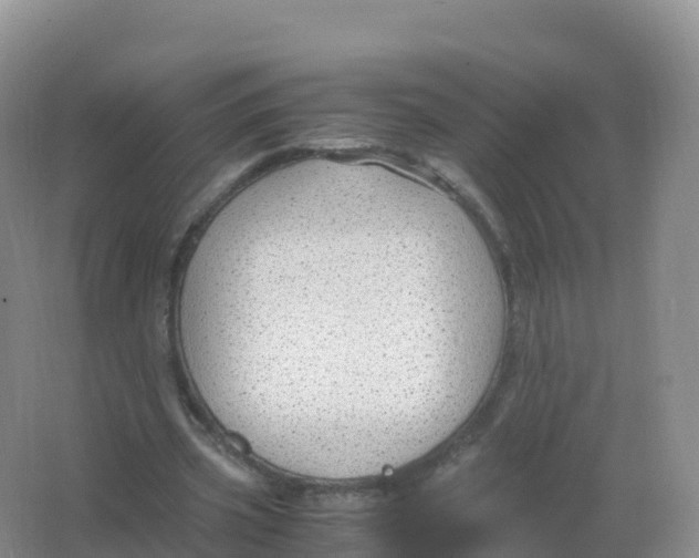 X0000066940533200604142026