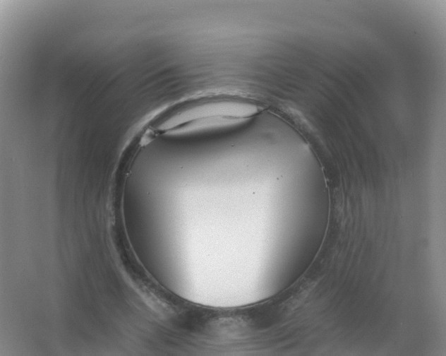 X0000066940536200604142026