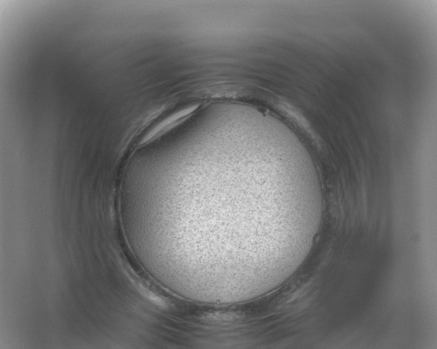 X0000066940537200604142026