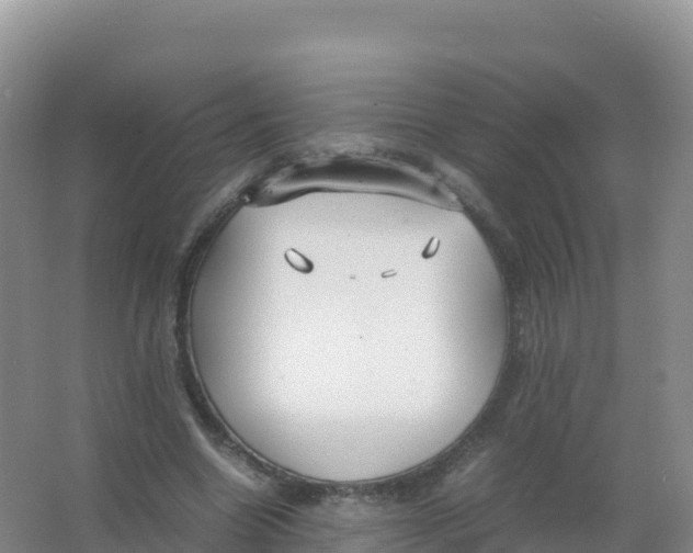 X0000066940538200604142026