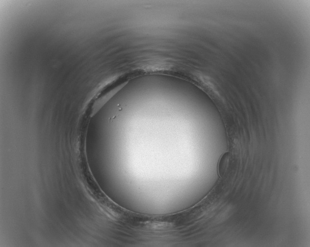 X0000066940539200604142026