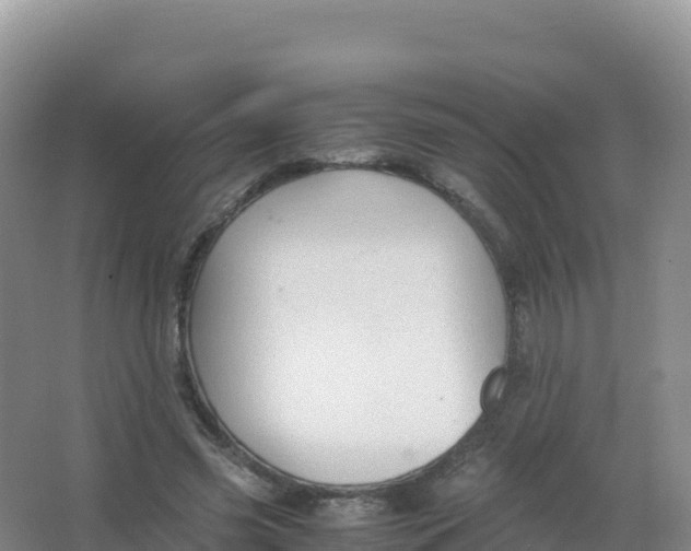 X0000066940541200604142026