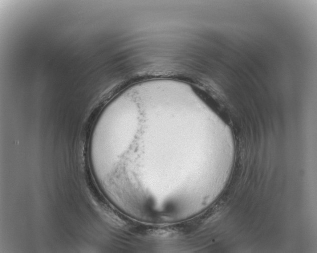 X0000066940542200604142026