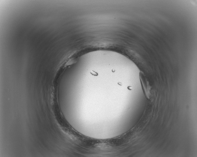 X0000066940544200604142026