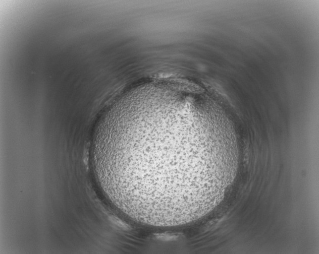 X0000066940545200604142026