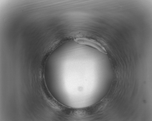 X0000066940546200604142026