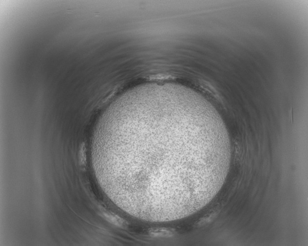 X0000066940549200604142026