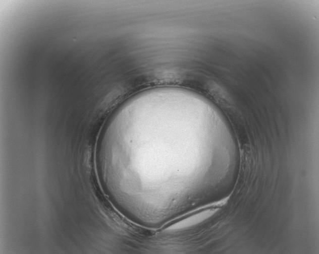 X0000066940550200604142026