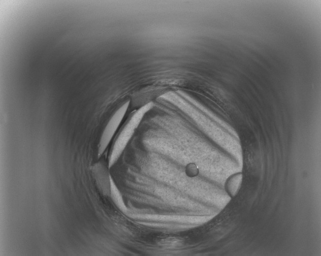 X0000066940551200604142026