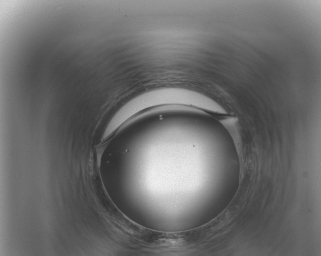 X0000066940552200604142026