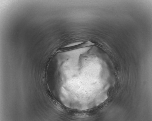 X0000066940553200604142026