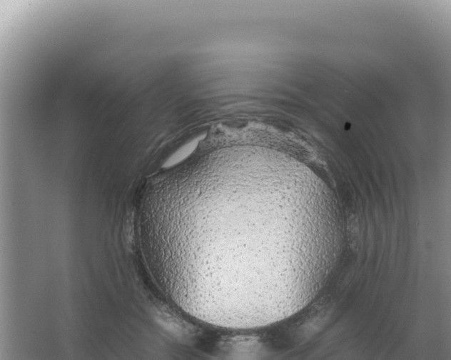 X0000066940554200604142026