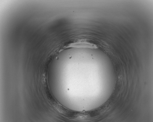 X0000066940555200604142026