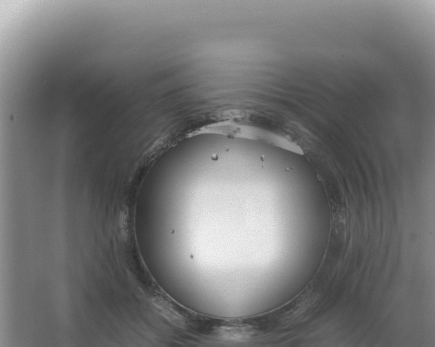 X0000066940556200604142026